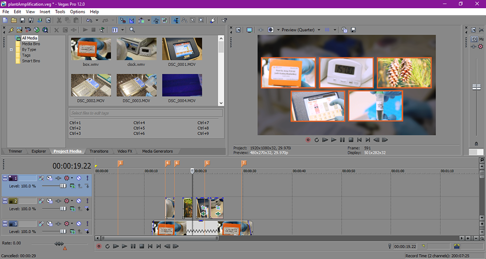 Working on plant ex-amp in Sony Vegas